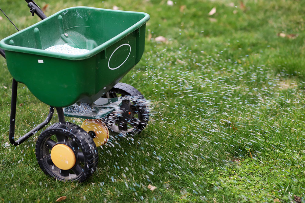 A Brief Guide to Fertilizing Bermuda Grass